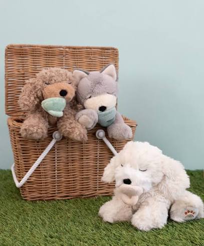 Catelus Binky - Belle Cream - Olli Ella - Image 10