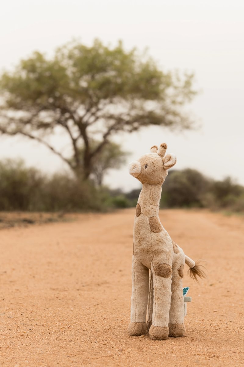 Girafă de pluș Safari Friends pentru bebeluși și copii - Image 3